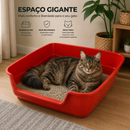 Bandeja Gigante para Gatos Jumbox