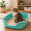 Bandeja Sanitária Extra Grande Jumbox para Gatos