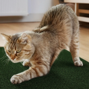 Arranhador Adesivo Premium para Gatos