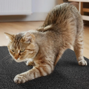 Arranhador Adesivo Premium para Gatos