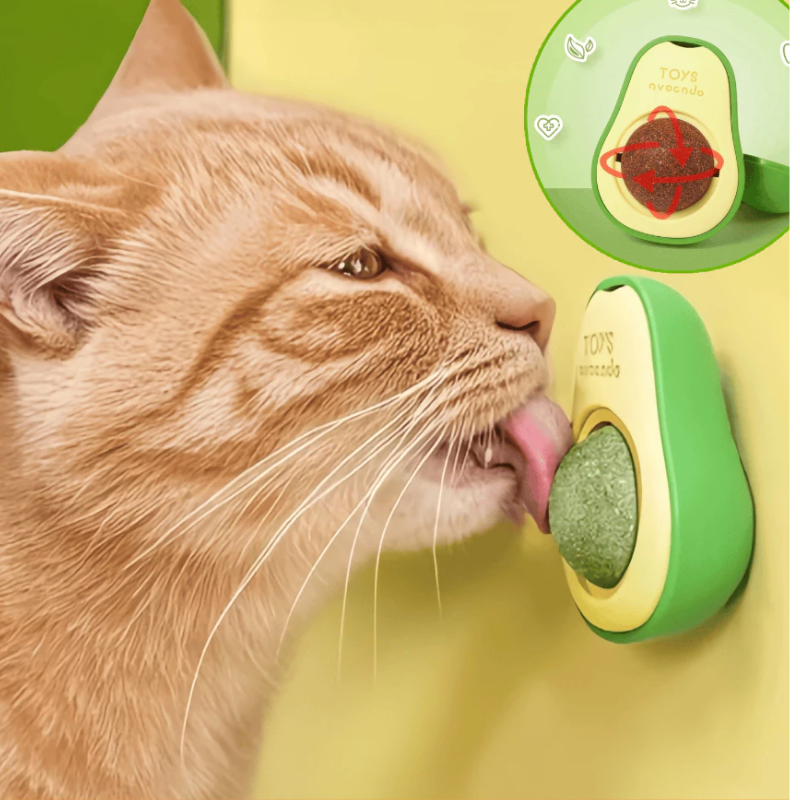 Kit Abacate Catnip para Gatos