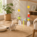 Kit Diversão Inteligente para Gatos