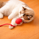 Bola Interativa Automática para Gatos