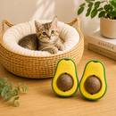 Kit Descanso e Diversão Felina