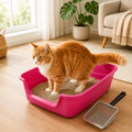 Caixa de Areia com Pá Higiênica para Gatos
