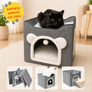 Kit Viagem para Gatos