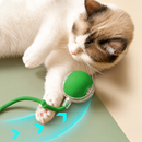 Kit Diversão Inteligente para Gatos