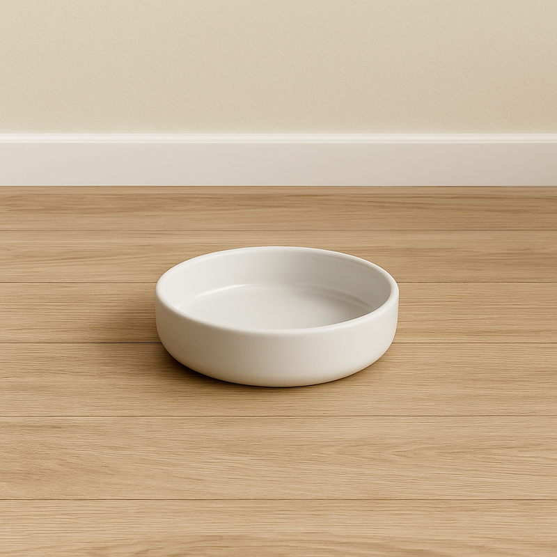 Prato de Porcelana Raso 230ml