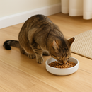 Prato de Porcelana Raso 230ml