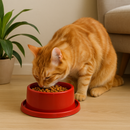 Comedouro para Gato  Ergonômico Antiformiga