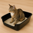 Caixa de Areia  Higiênica Ultrabox para Gatos