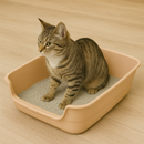 Caixa de Areia  Higiênica Ultrabox para Gatos