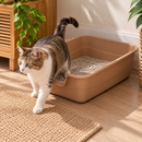 Caixa de Areia para Gatos