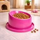 Comedouro para Gato  Ergonômico Antiformiga