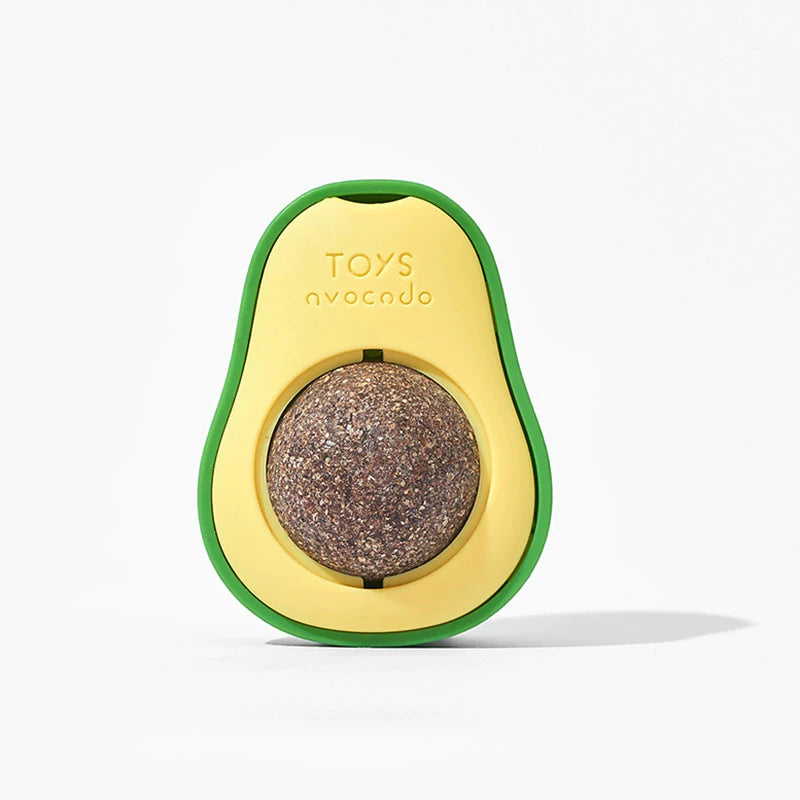 Kit Abacate Catnip para Gatos