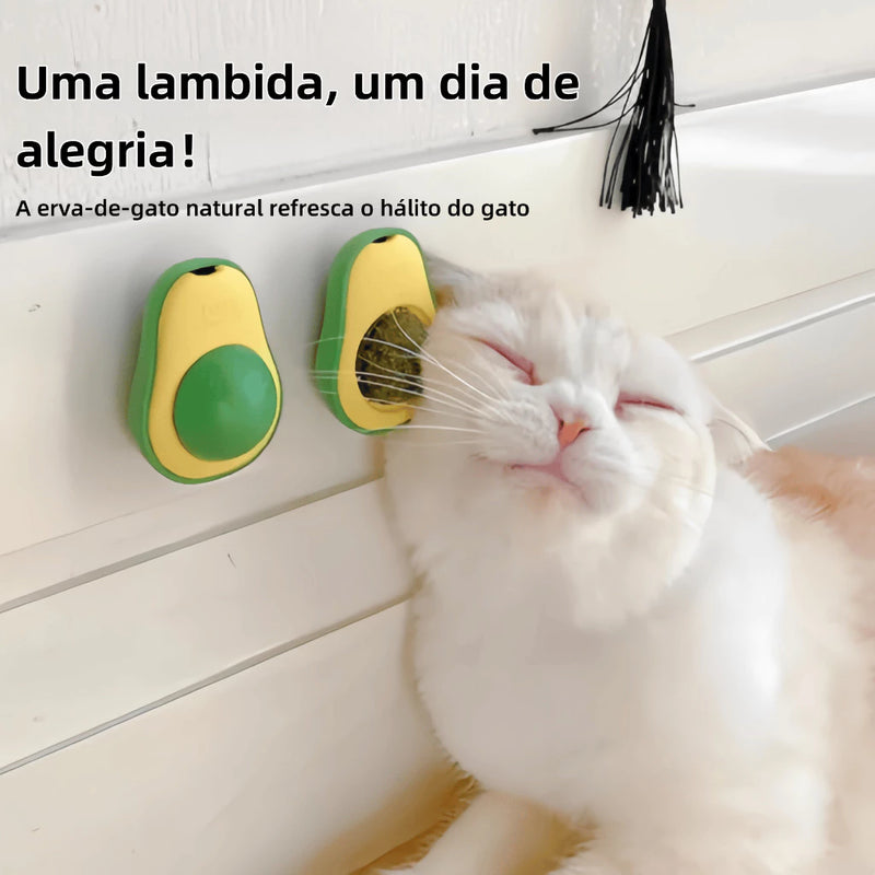 Kit Abacate Catnip para Gatos