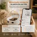 Alimentador com Microchip para Gatos