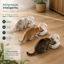 Alimentador com Microchip para Gatos