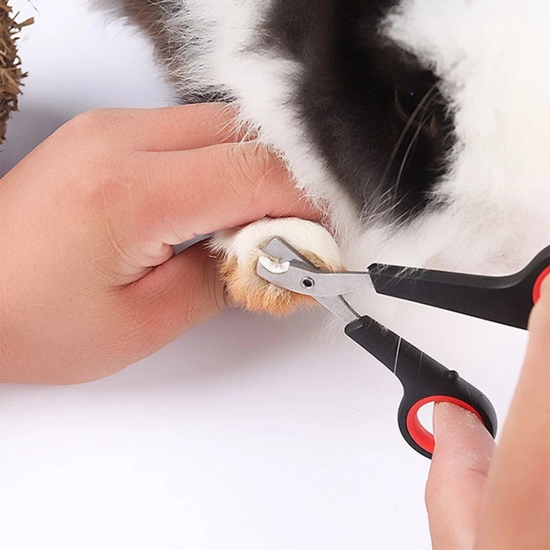 Cortador de Unhas para  Gatos