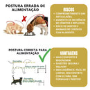 Comedouro e Bebedouro Duplo Premium