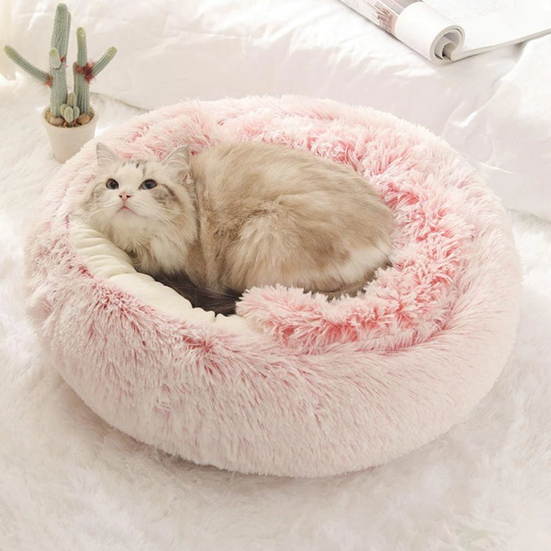 Cama 2 em 1 para Gatos