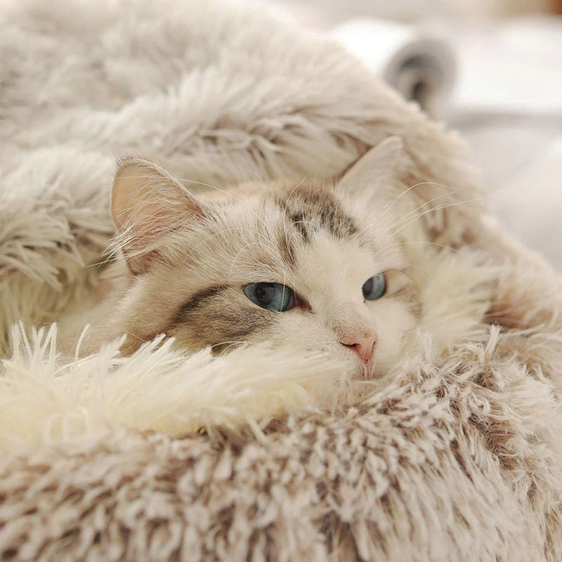 Cama 2 em 1 para Gatos