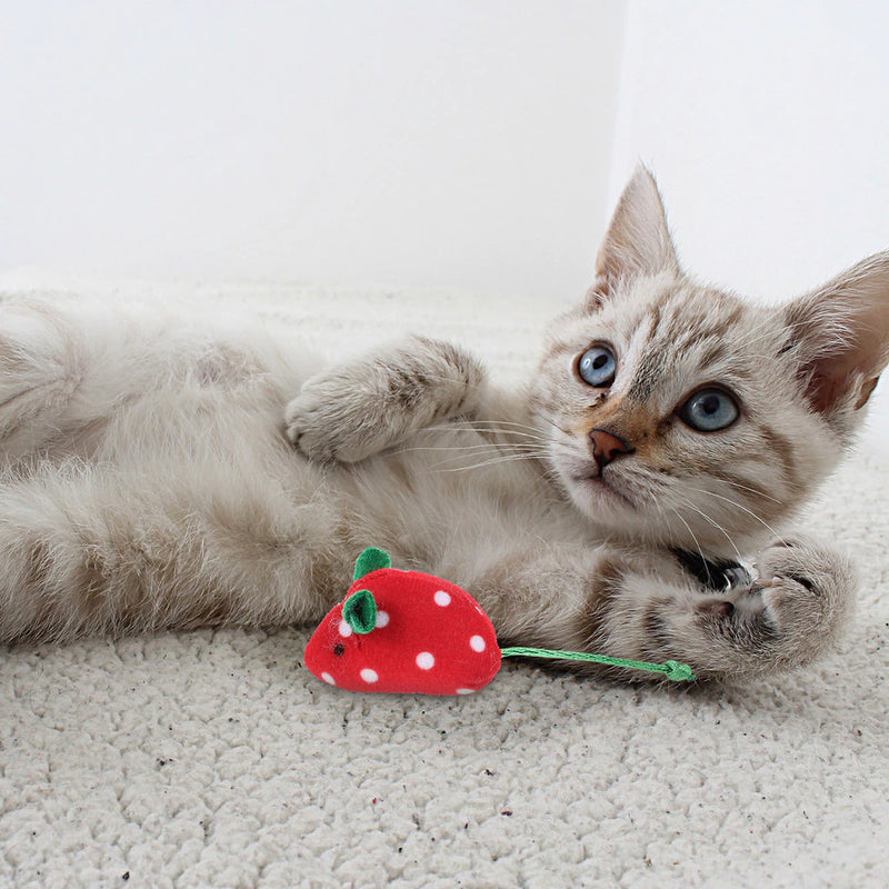 Ratinhos com Catnip para Gatos